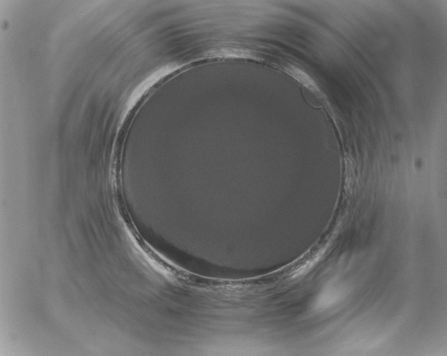 X0000055511141200509022051