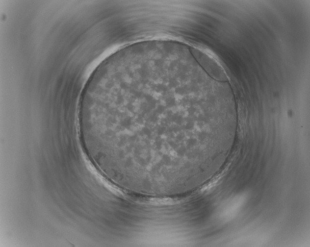 X0000055511142200509022051