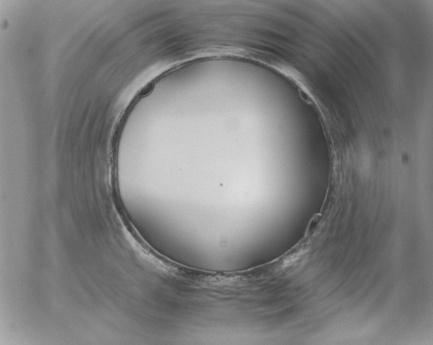 X0000055511143200509022051