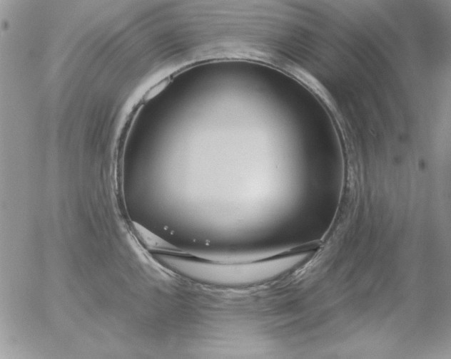 X0000055511144200509022051