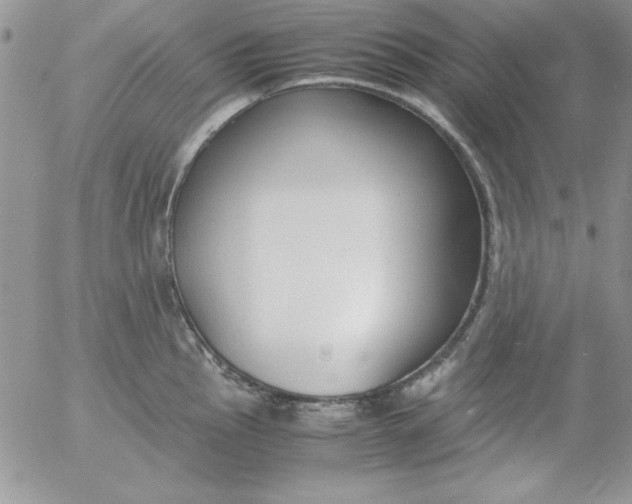 X0000055511145200509022051