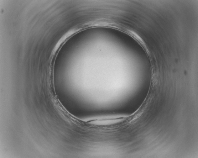 X0000055511146200509022051