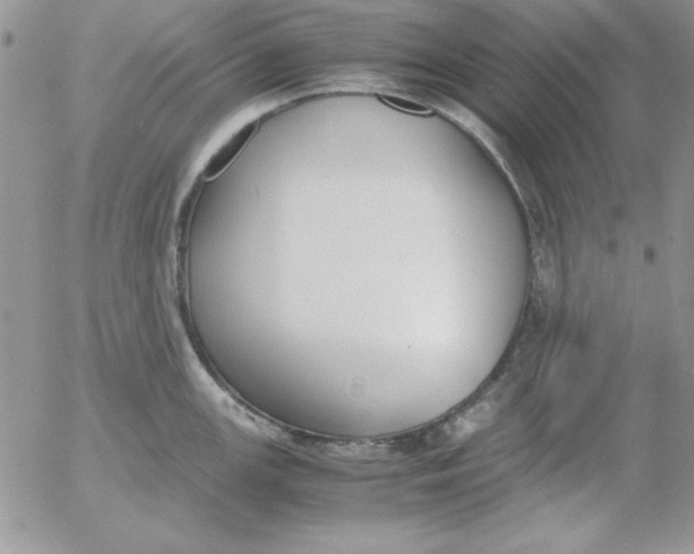 X0000055511147200509022051