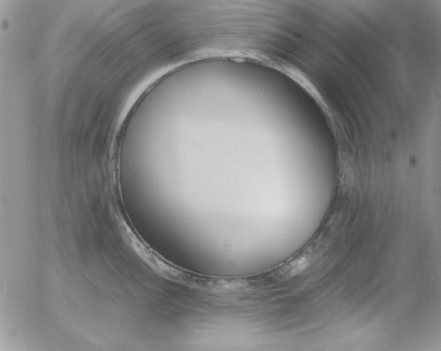 X0000055511148200509022051