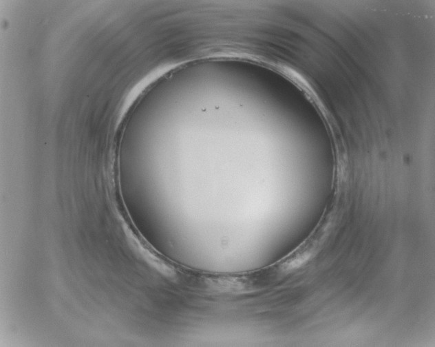 X0000055511149200509022051