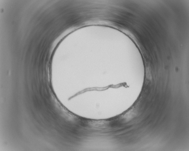 X0000055511150200509022051