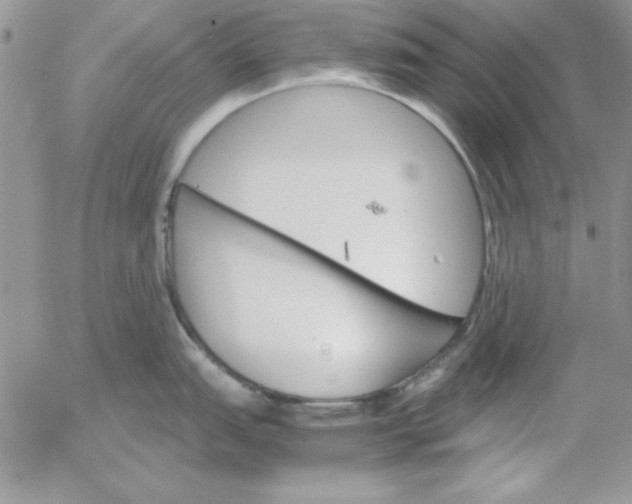 X0000055511151200509022051