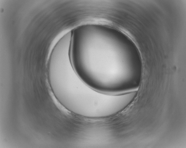 X0000055511152200509022051