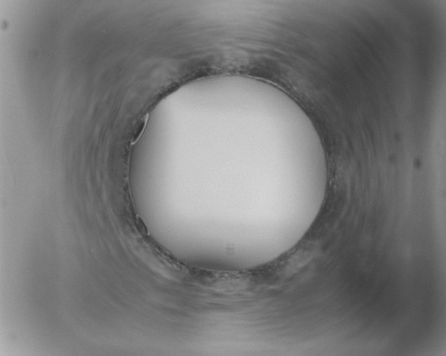 X0000055511153200509022050