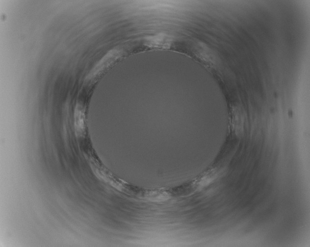 X0000055511154200509022050