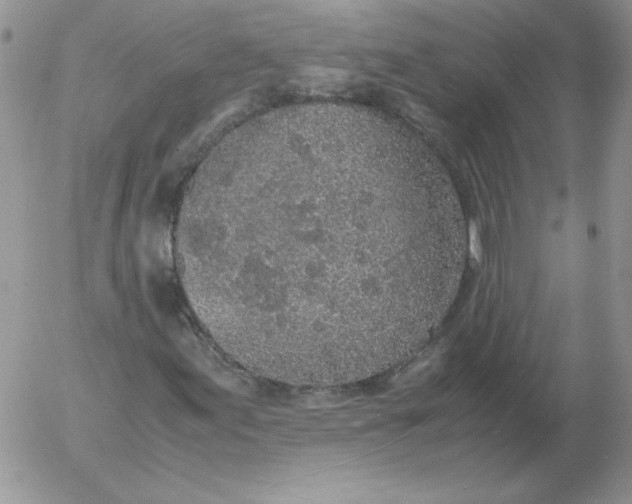 X0000055511155200509022050