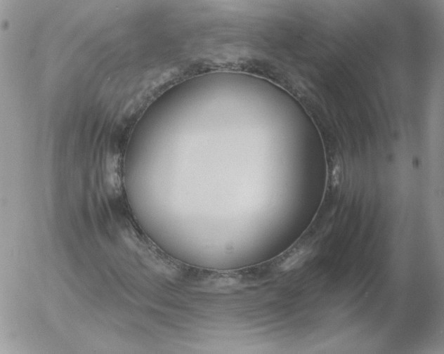 X0000055511156200509022050