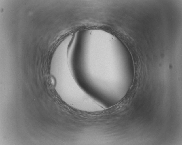 X0000055511157200509022050