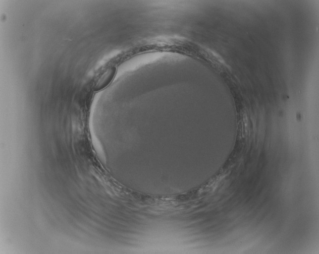 X0000055511158200509022050