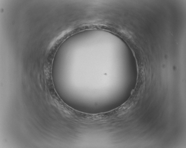 X0000055511159200509022050