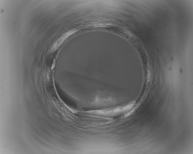 X0000055511161200509022050