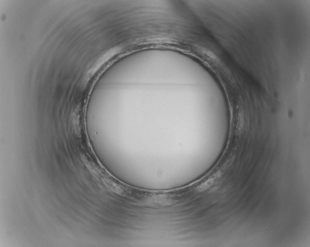 X0000055511162200509022050