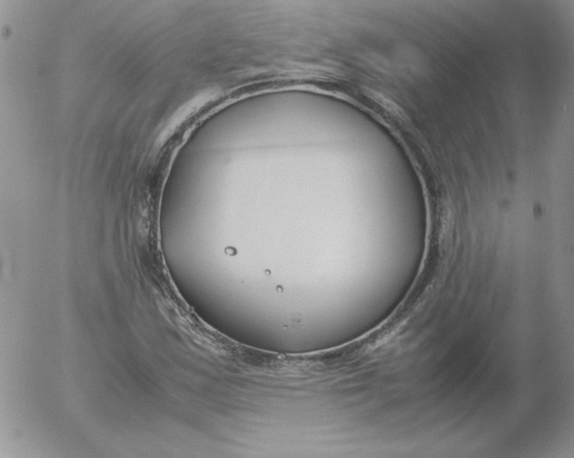 X0000055511163200509022050