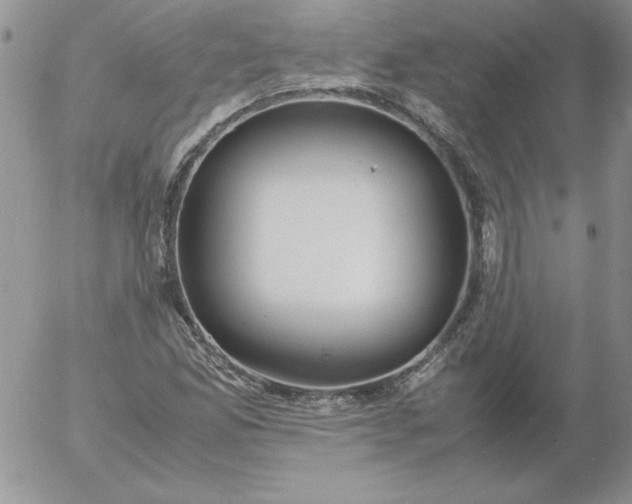 X0000055511165200509022050