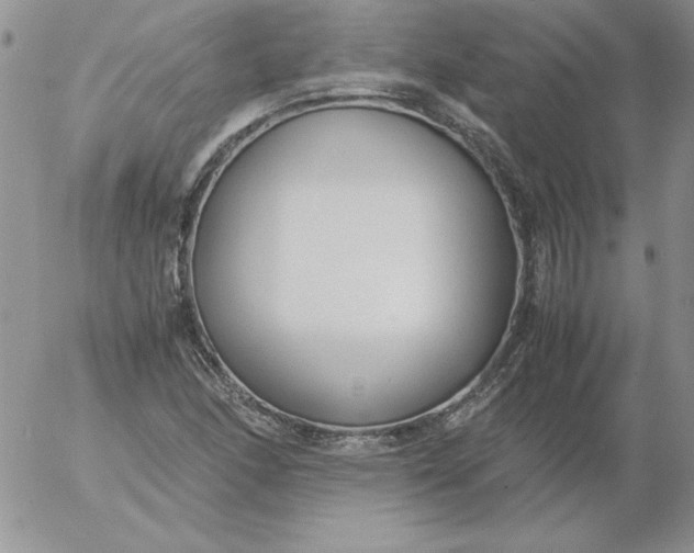 X0000055511166200509022050