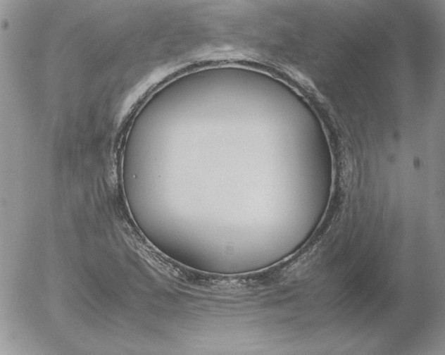 X0000055511167200509022050