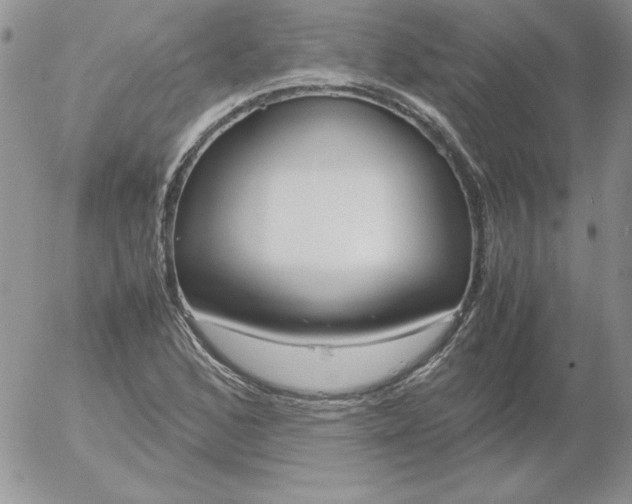 X0000055511168200509022050