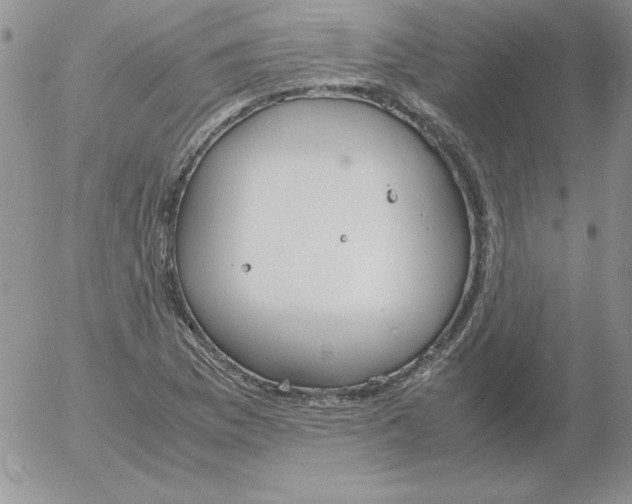 X0000055511169200509022050