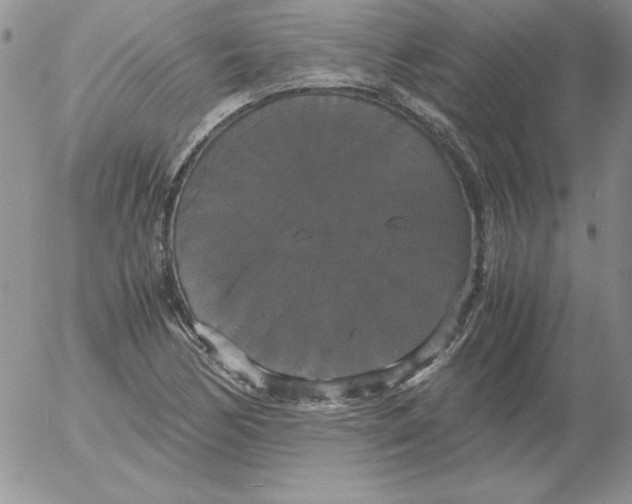 X0000055511170200509022050