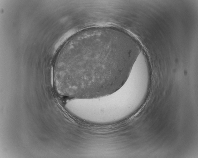 X0000055511171200509022050