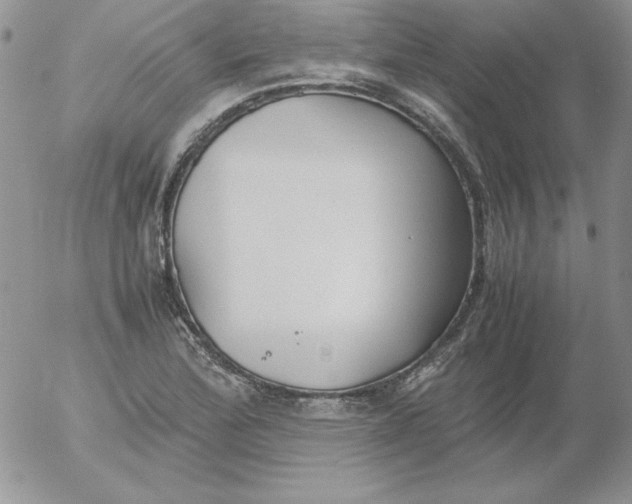 X0000055511172200509022050