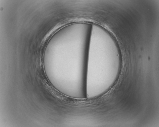 X0000055511173200509022050