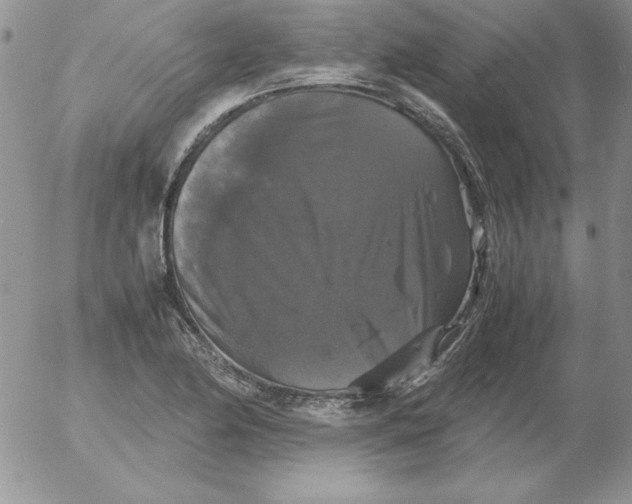 X0000055511174200509022050