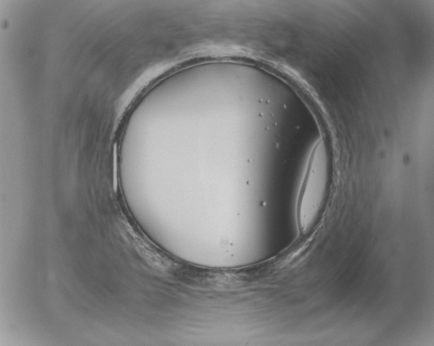 X0000055511175200509022050