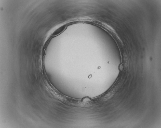 X0000055511176200509022050