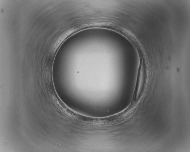 X0000055511177200509022050