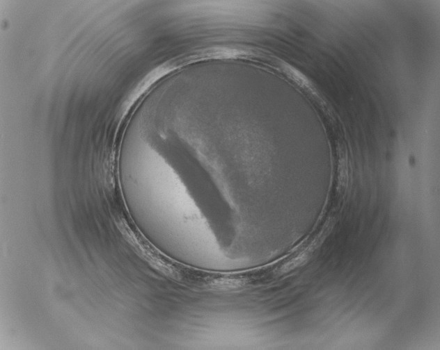 X0000055511178200509022050