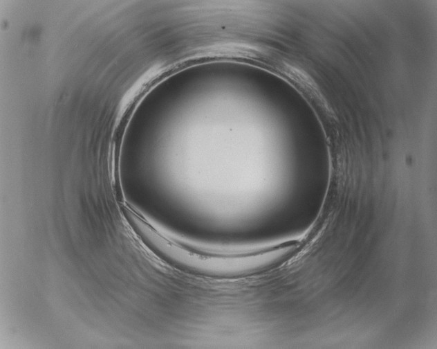 X0000055511180200509022050