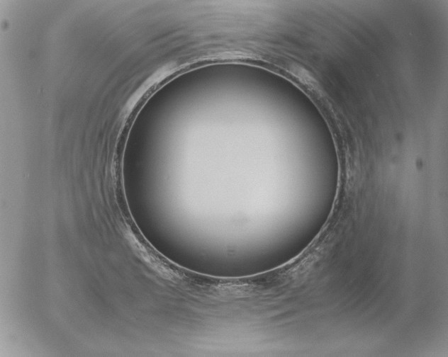 X0000055511181200509022050