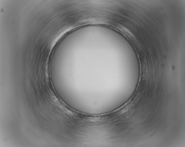 X0000055511182200509022050