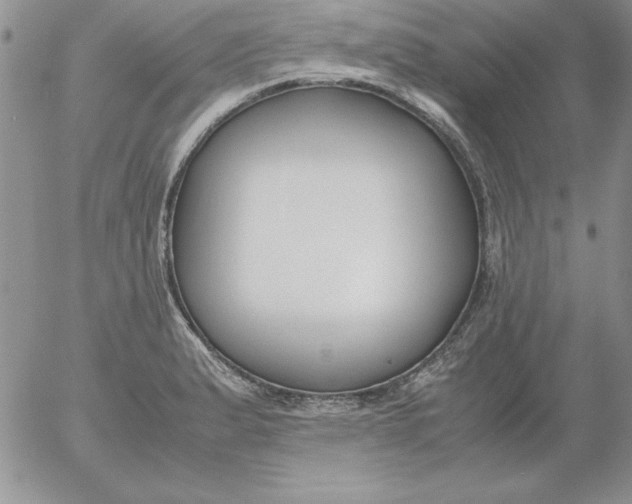 X0000055511183200509022050