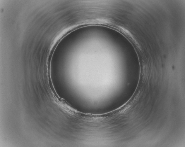 X0000055511184200509022050