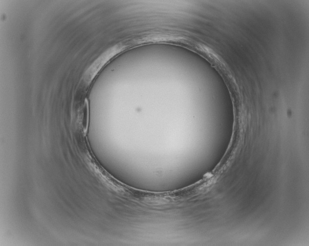 X0000055511185200509022050