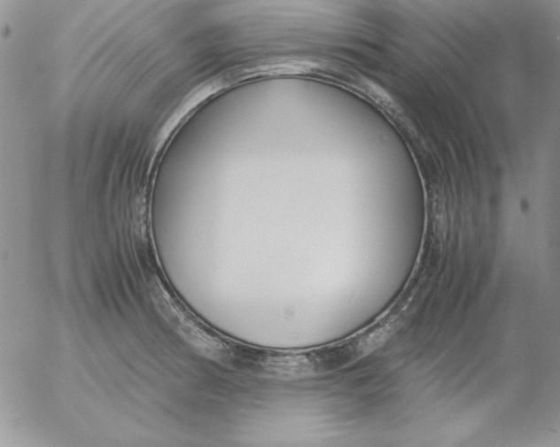 X0000055511186200509022050