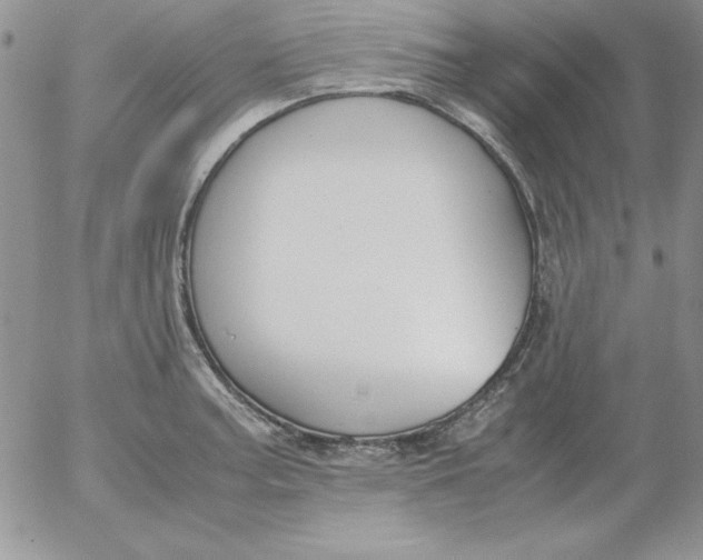 X0000055511187200509022050