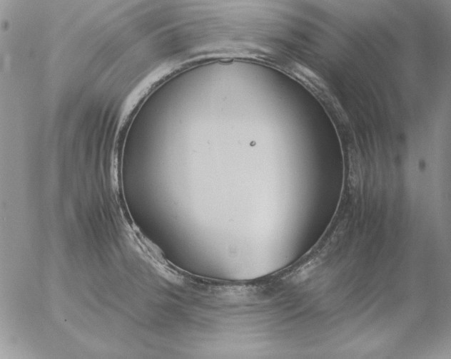 X0000055511188200509022050