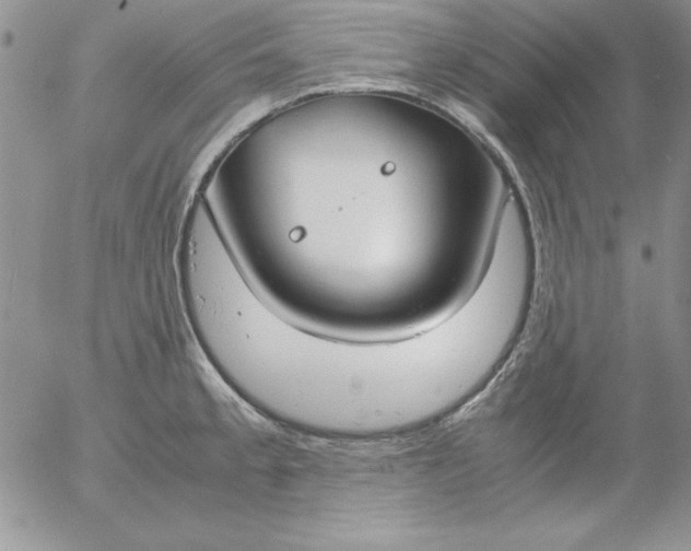 X0000055511189200509022050