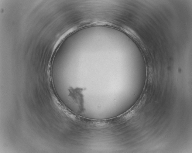 X0000055511190200509022050