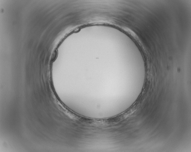 X0000055511191200509022050