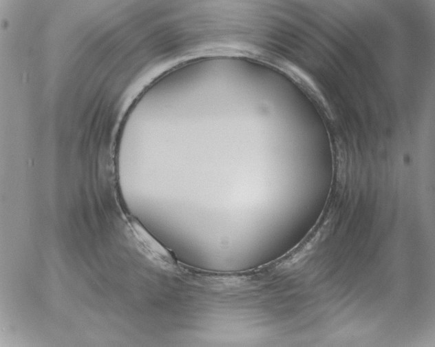 X0000055511192200509022050