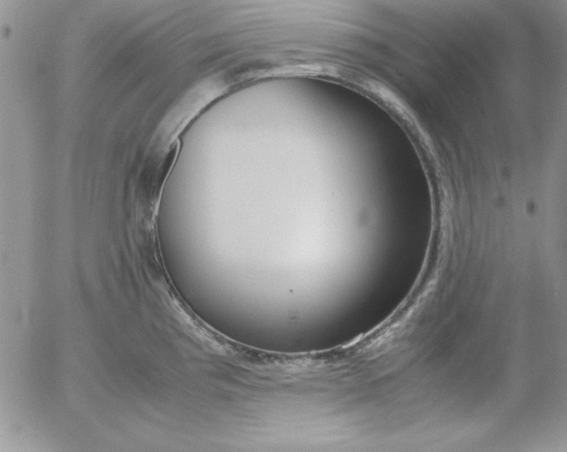 X0000055511193200509022050